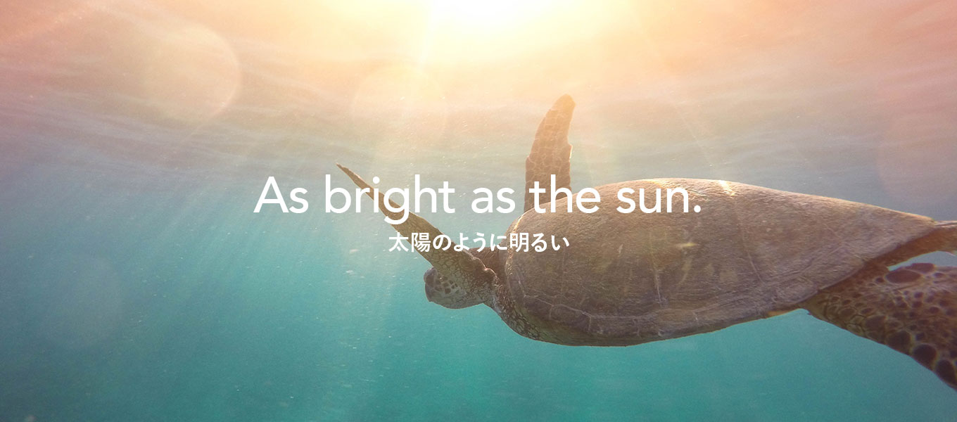 As bright as the sun.
太陽のように明るい