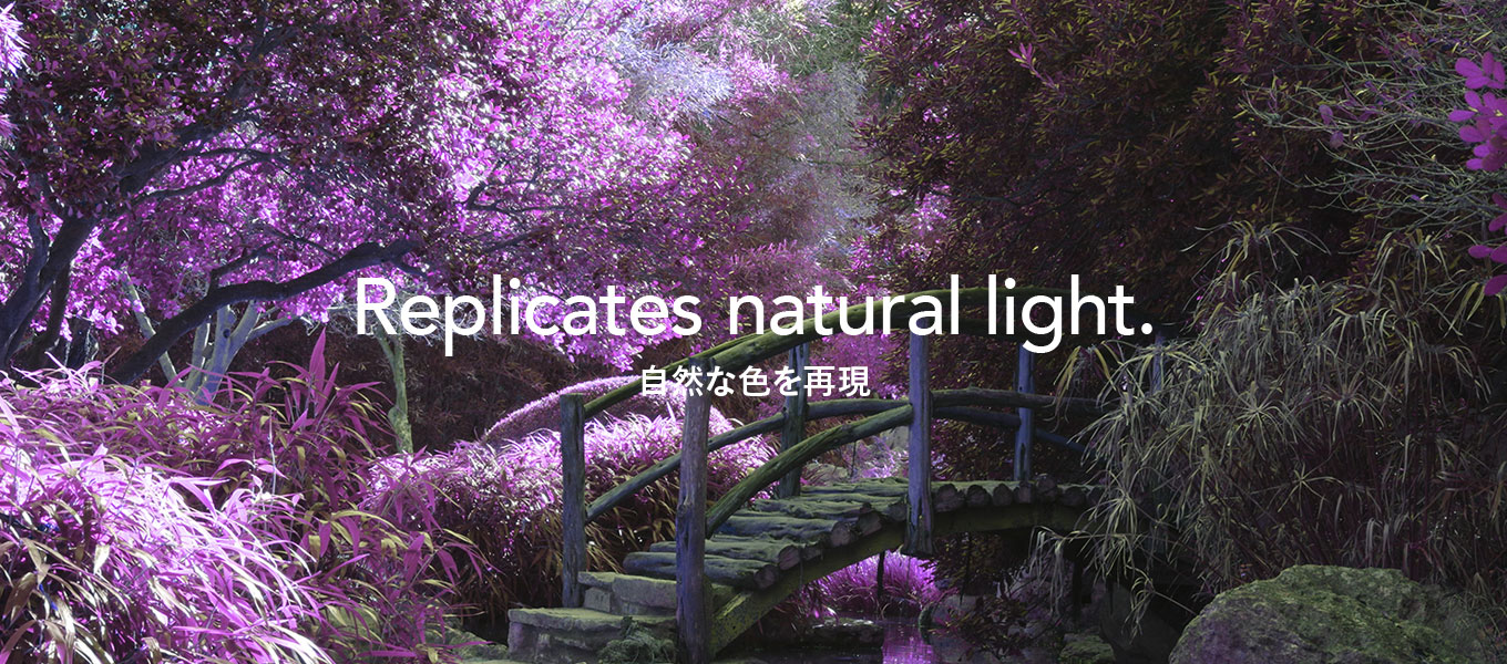 Replicates natural light.
自然な色を再現